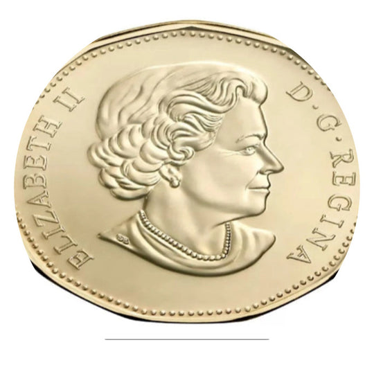 2019 Canada Equality Loonie Handfarbe