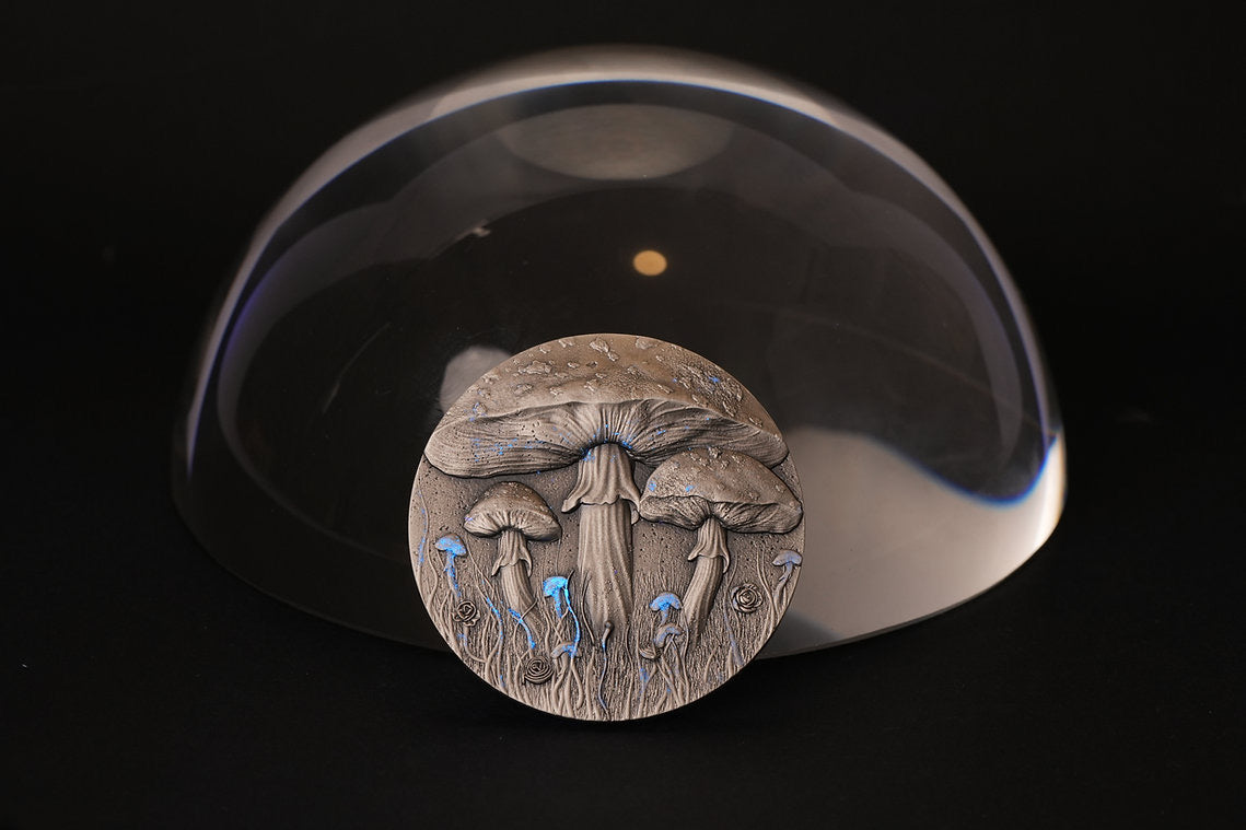 2025 Cameroon Magic Mushroom - 2oz .999 High Relief Silver Coin - 2000 Francs
