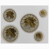 2014 Canada Maple Leaf Fractional 5-Coin Silver Proof Set 1.9 oz .9999