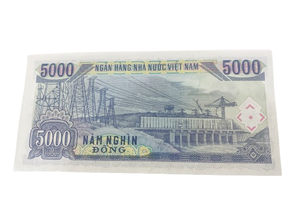 1991 Vietnam 5000 Dong Banknote Ho Chi Minh Portrait UNC