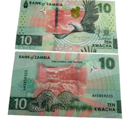 Zambia 10 Kwacha 2024 2025  Pangolins EAGLE UNC Banknote