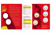 2026 $1 FIFA World Cup 5 Coin Set Canada UNC Loonie + 3 Quarters Collection