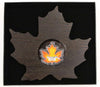 2016 Canada $20 Colourful Maple Leaf Shaped 1 oz Silver Proof Coin