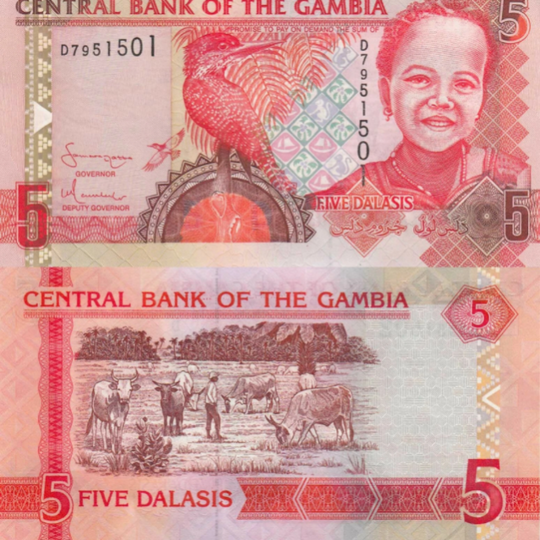 2006 Gambia 5 Dalasis Banknote Parrot & Child Agriculture Scene Collectible UNC