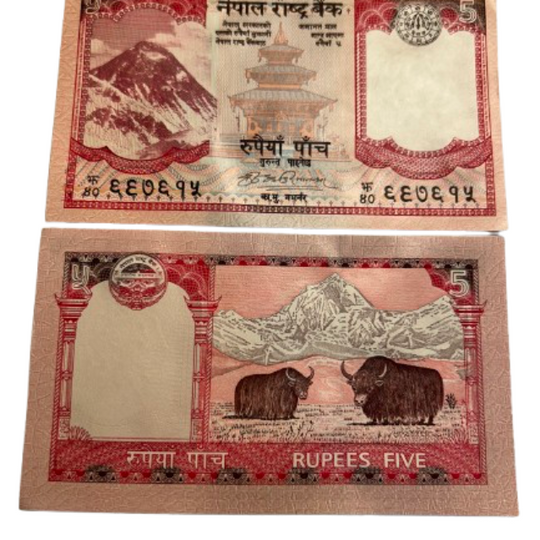 2010 NEPAL 5 Rupees Banknote Paper Money Bill Mount Everest, Yaks UNC
