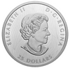 2021 Canada Silver  $25 Bold Bison, Extraordinary High Relief