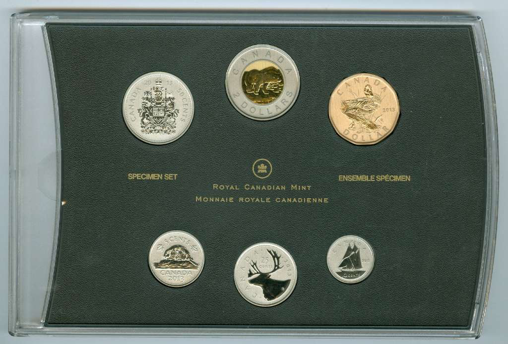 2013 Specimen Set: Black Bear Cubs - Special Edition