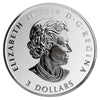 2019 Canada $3 Cherry Blossom – Fun and Festivities Silver Coin