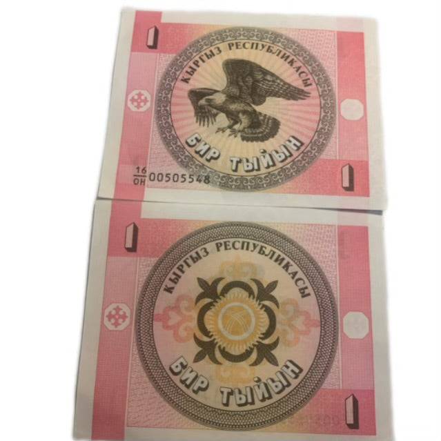 1993 Kyrgyzstan 1 tyiyn Bald Eagle P1a Watermark Stylized Eagle UNC