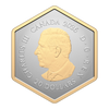 2026 Canada $20 Nature’s Delight: The Spider 1 oz .9999 Silver Reverse Proof Coin