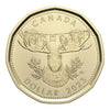2023 Canada Oh Canada! 5-Coin Gift Set Moose Head $1 in Folder