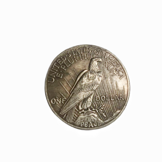 Hobo-Münze – Meereswellen-Münze in schützender Kunststoffkapsel mit Kupfergravur #NA02