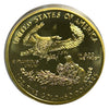 Lucky Craft Coin 2024 American Eagle Liberty in Capsule