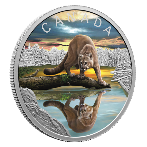 2024 Pure Silver Coin – Wildlife Reflections: Cougar **Pre Order See Details**