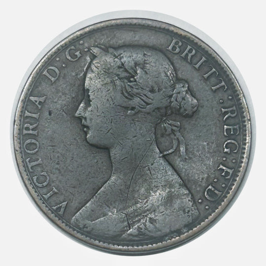 1873 Newfoundland Large Cent, hochwertig