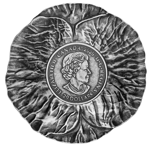 Canada Silver 2020 $20 Remembrance Day  MS 1.02oz