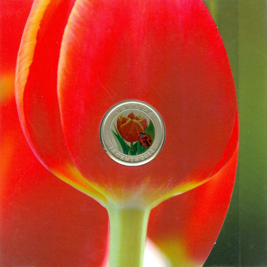 2011 Canada 25 Cents Tulip with Ladybug Coloured Coin