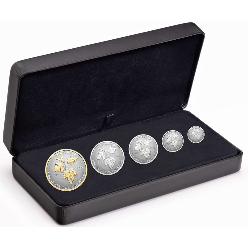 2024 Canada Autumn Beauty Fractional 5-Coin Silver Set