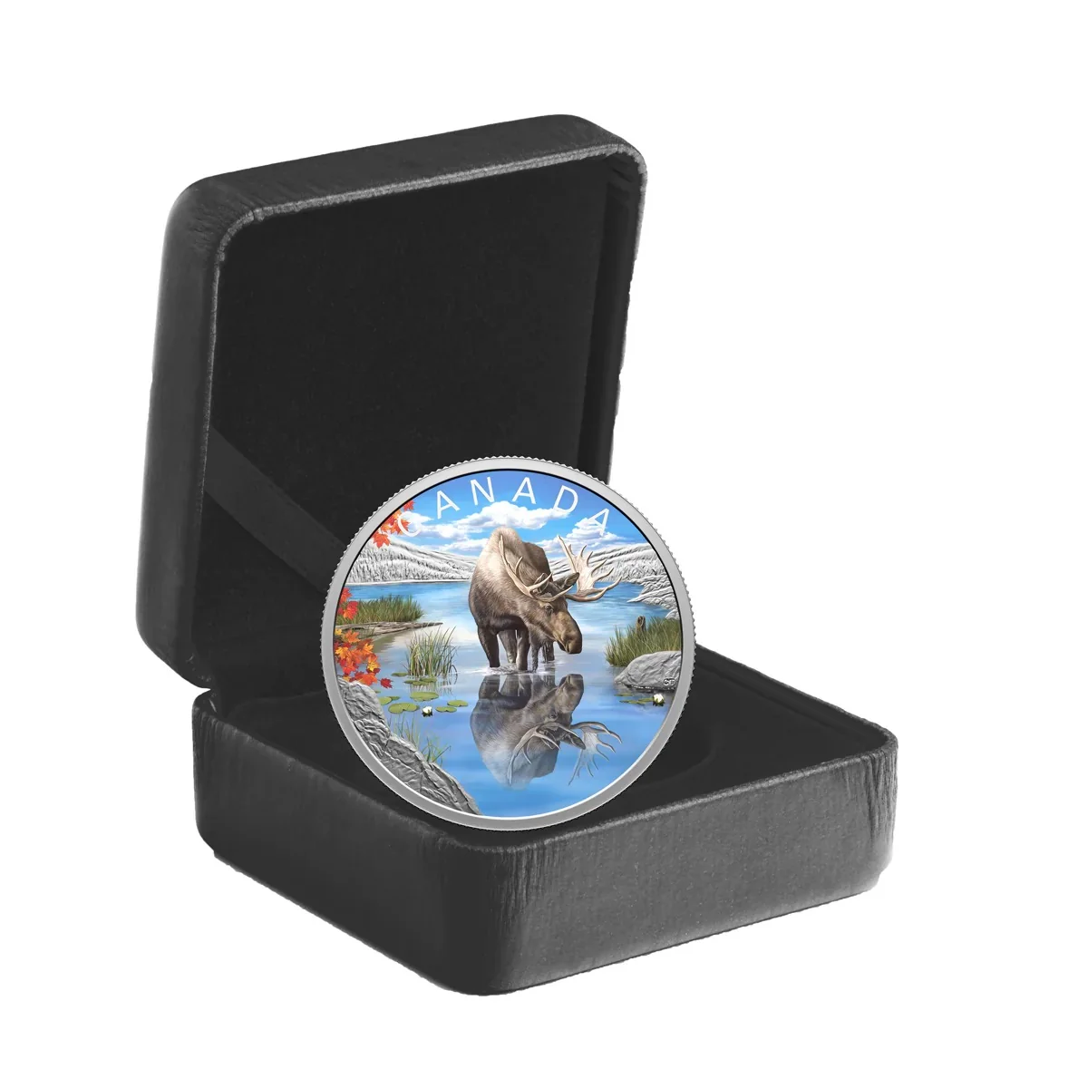 2024 Canada Silver  $20 Fine Silver Coin - Wildlife Reflections: Moose