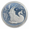 Lucky Craft Coin Capricorn Zodiac Medal in Capsule