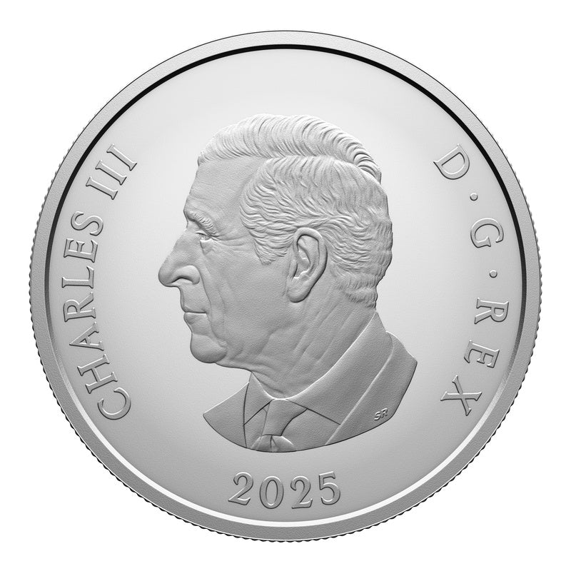 2025 Canada $20 Williamson Diamond Brooch 1 oz Silver Coin Crown Jewels