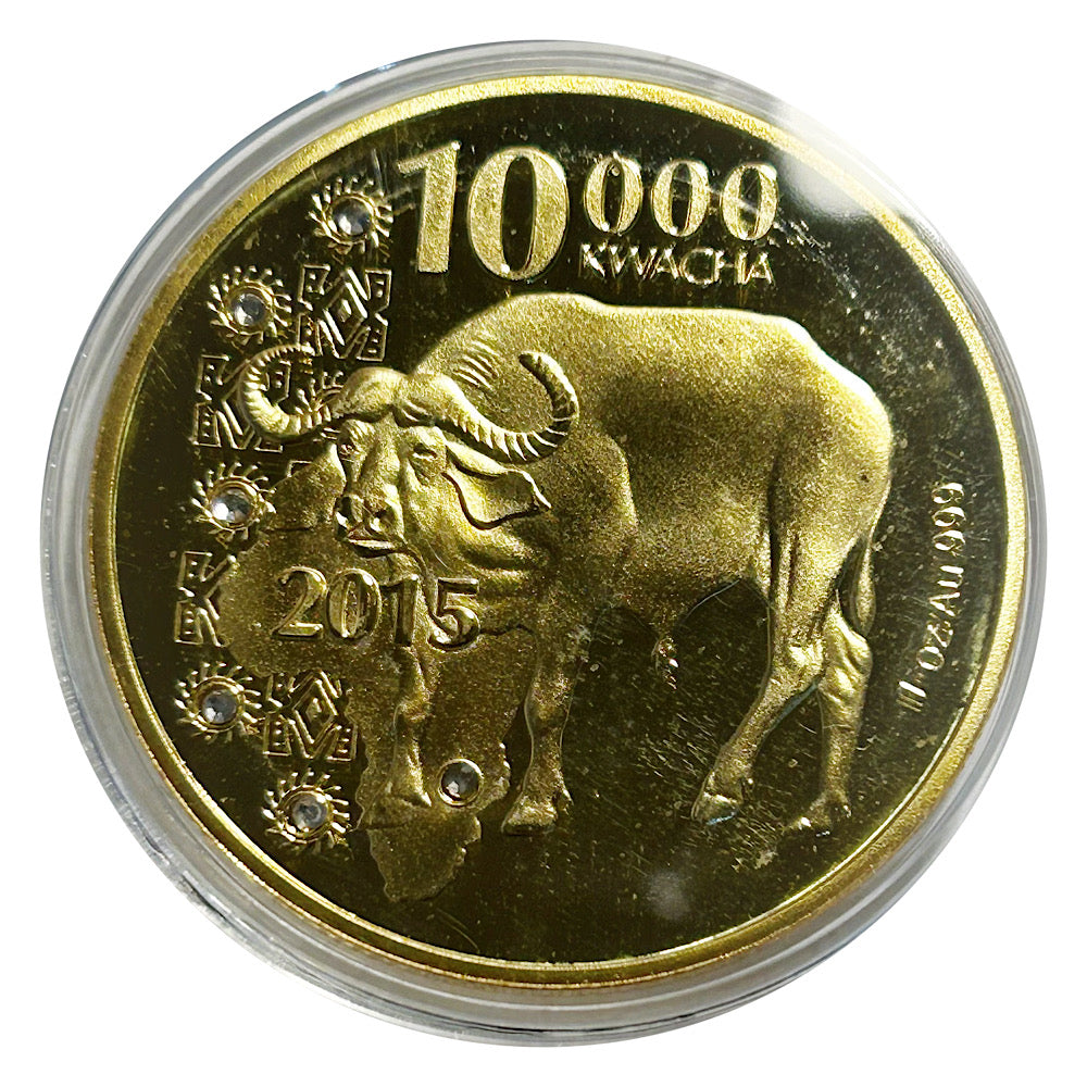 Lucky Coin African Buffalo in Plastic Capsule