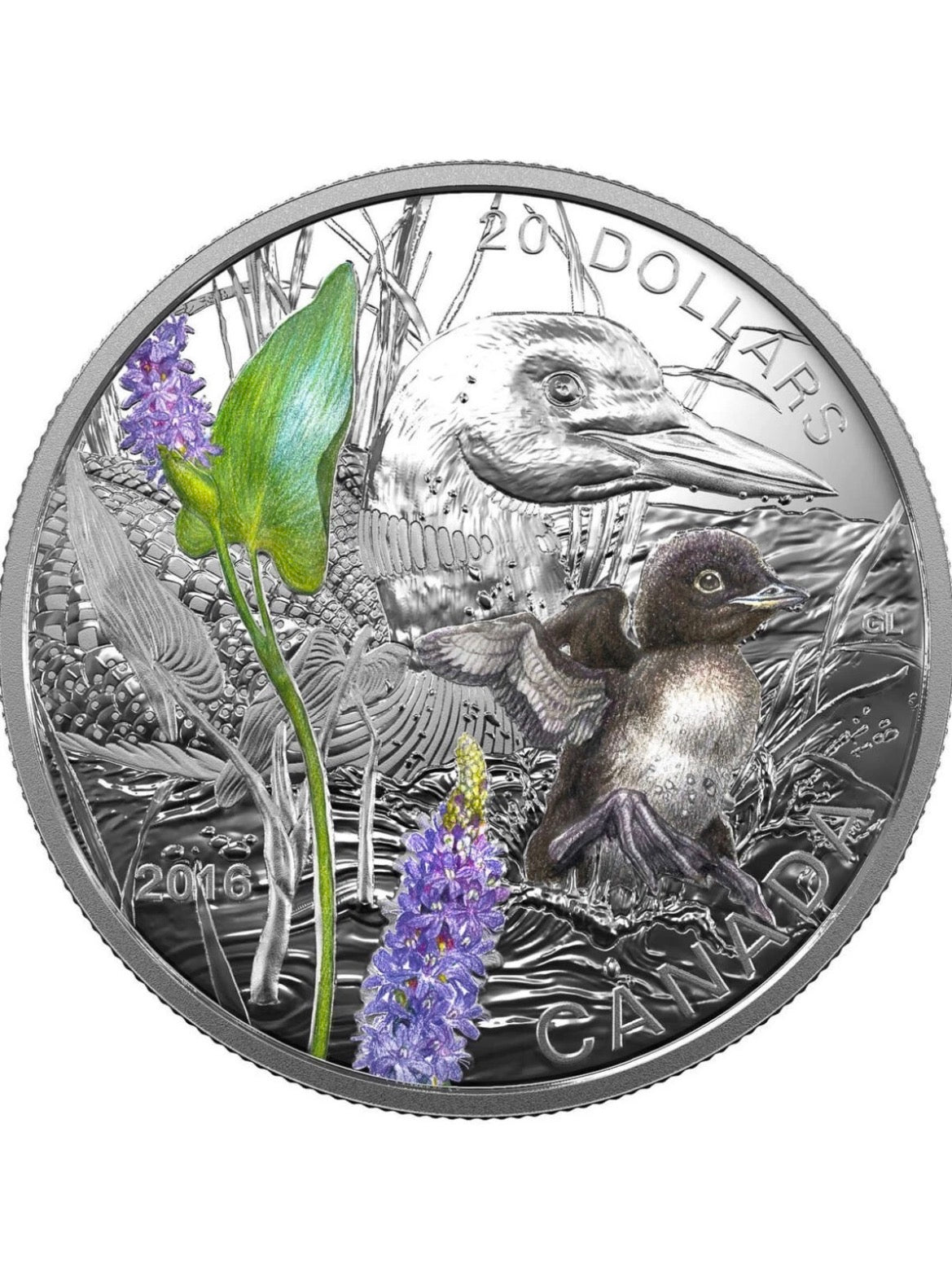 2016 Canada $20 Baby Animals: Common Loon 1 oz Pure Silver Coin