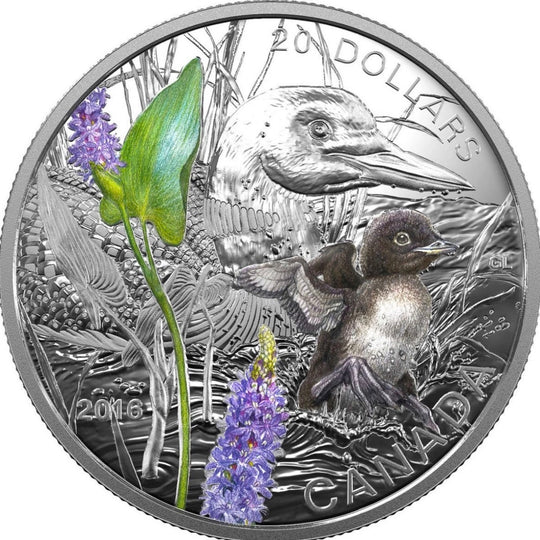 2016 Canada $20 Baby Animals: Common Loon 1 oz Pure Silver Coin