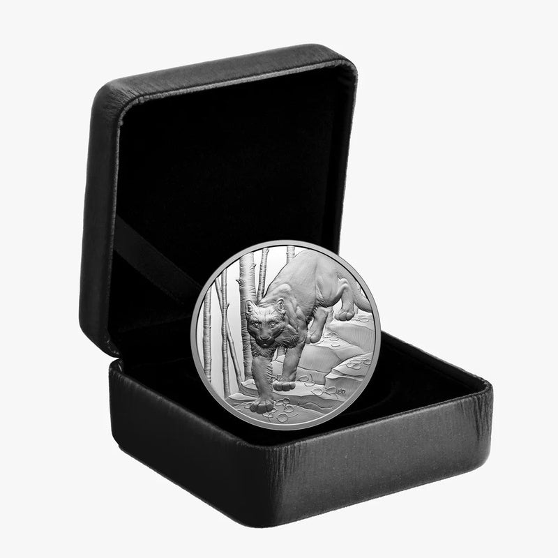 2024 Canada $20 Great Hunters Cougar Ultra High Relief .9999 Silver Proof Coin