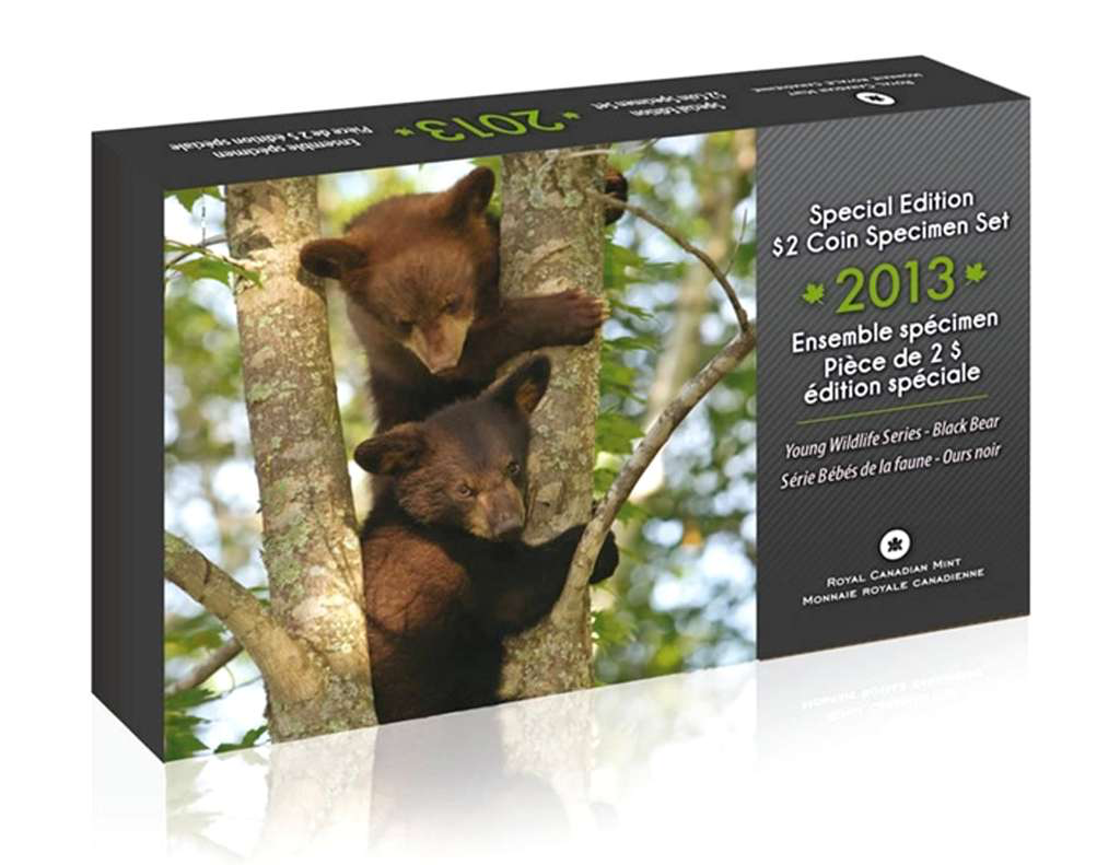 2013 Specimen Set: Black Bear Cubs - Special Edition