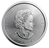 2020 Canada Silver  $2 Polar Bear MS .5oz