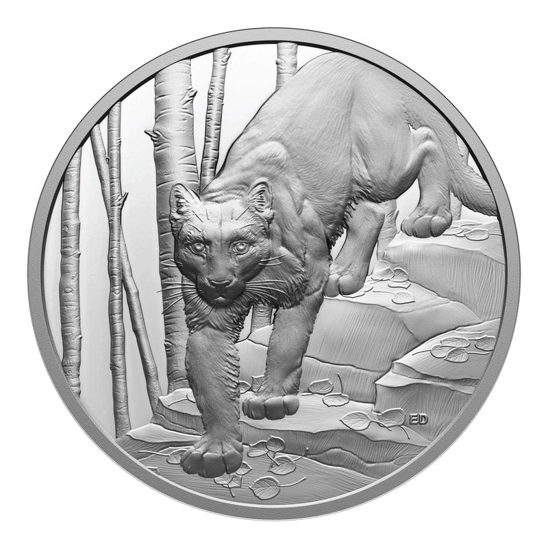2024 Canada $20 Great Hunters Cougar Ultra High Relief .9999 Silver Proof Coin