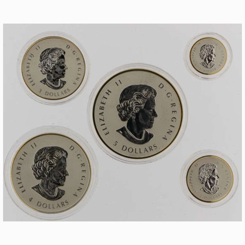 2014 Canada Maple Leaf Fractional 5-Coin Silver Proof Set 1.9 oz .9999