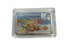 Lucky Craft Coin Dragon Rectangular Color Coin  Medal in Capsule