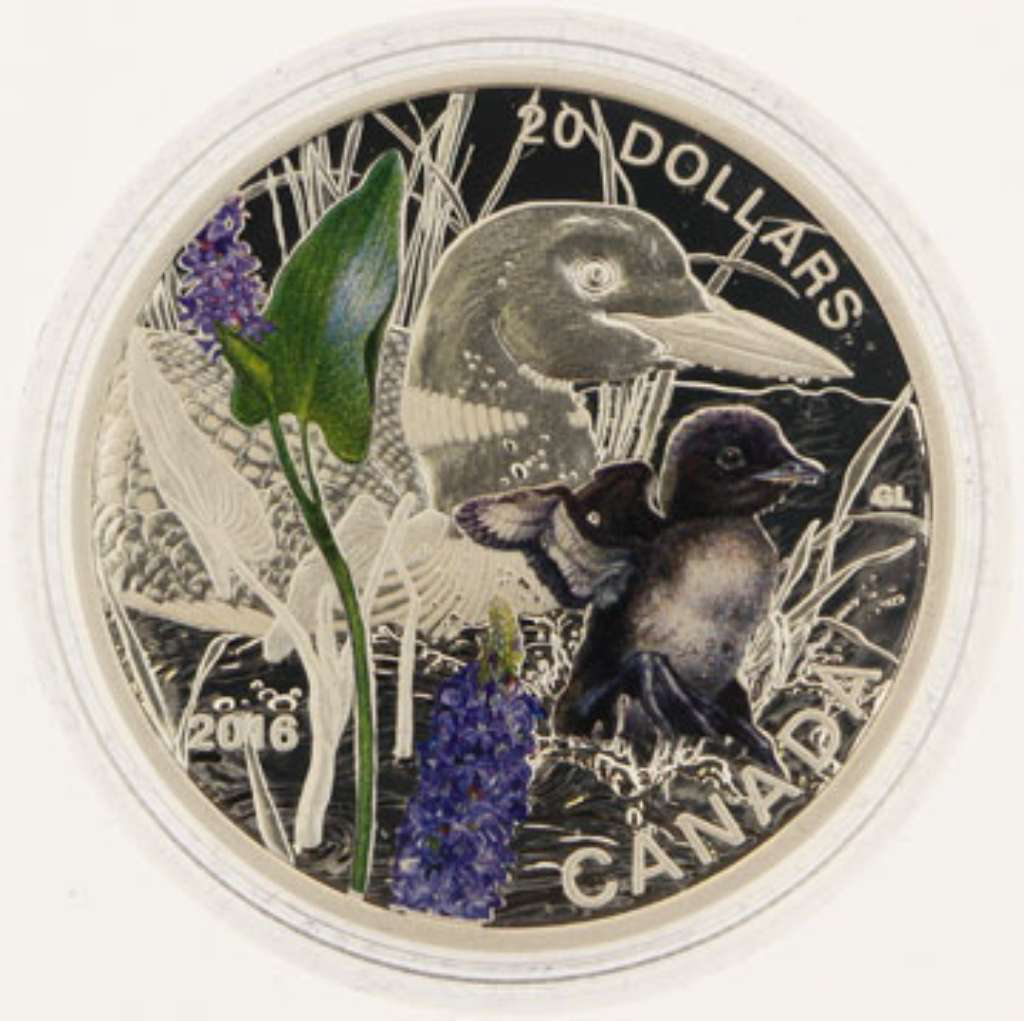 2016 Canada $20 Baby Animals: Common Loon 1 oz Pure Silver Coin