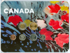 2010 Canada Base Metal  Card Maple Leaf Collector Card to hold Standard 6 coins