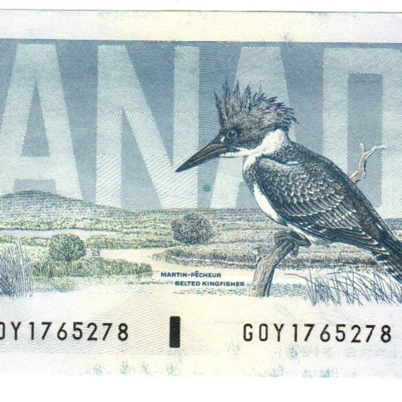 1986 Canada $5 Banknote Lot of 10 Bird Notes UNC