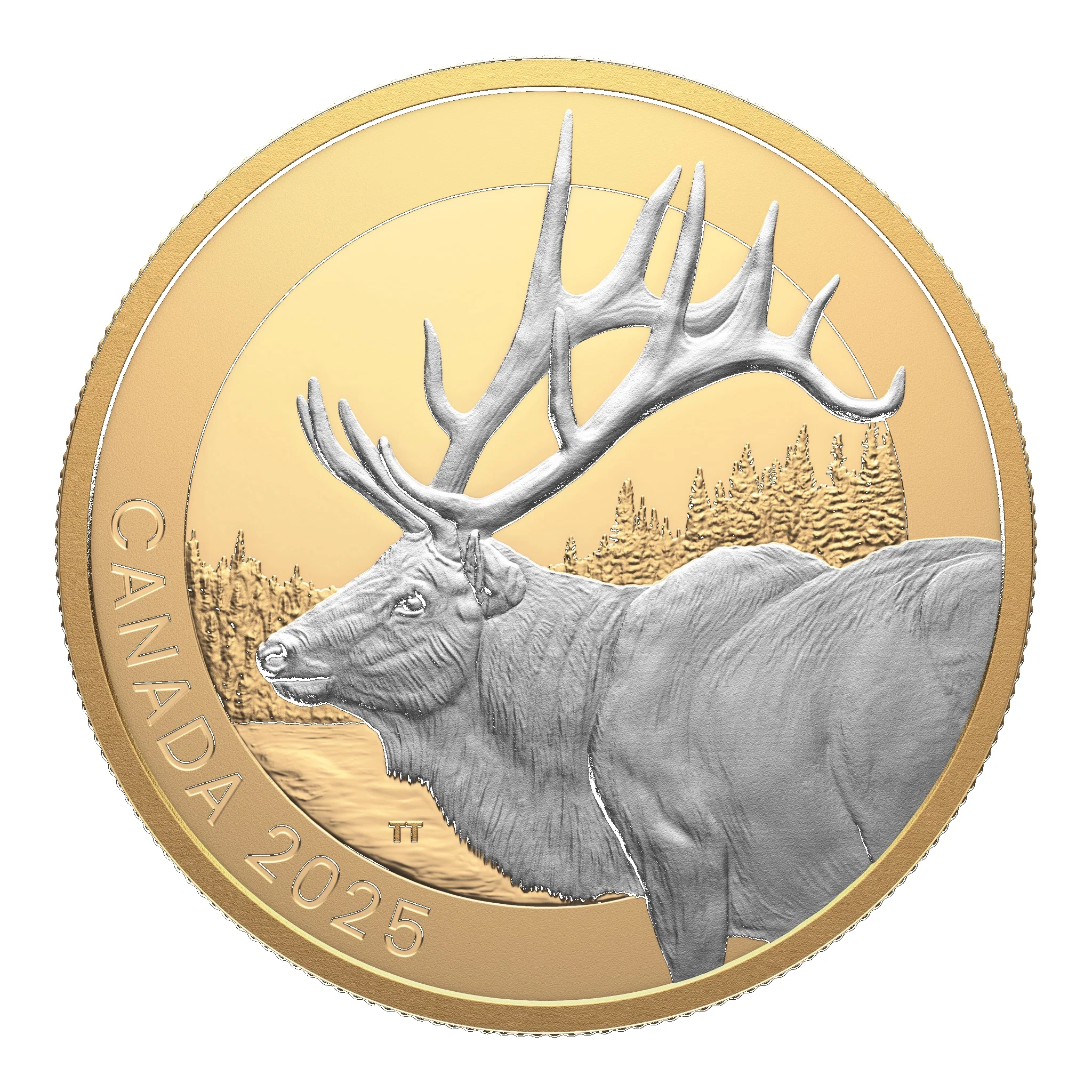 Canada Silver 2025 Elk $20 Proof Coin 1oz Vancouver