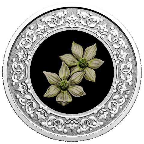 2020 Canada Silver  $3 Pacific Dogwood - British Columbia - Floral Emblems Rev