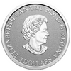 2020 Canada Silver  $3 Pacific Dogwood - British Columbia - Floral Emblems Rev
