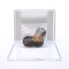 The Final Years of Queen Victoria – 1895-1901 Penny Collection