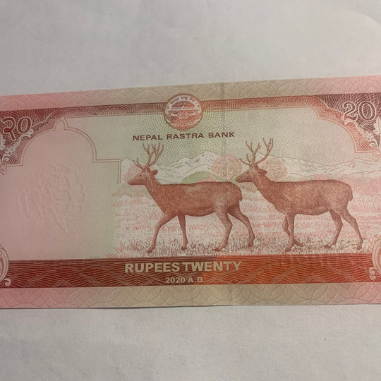 1986 Nepal 10 Rupien VF