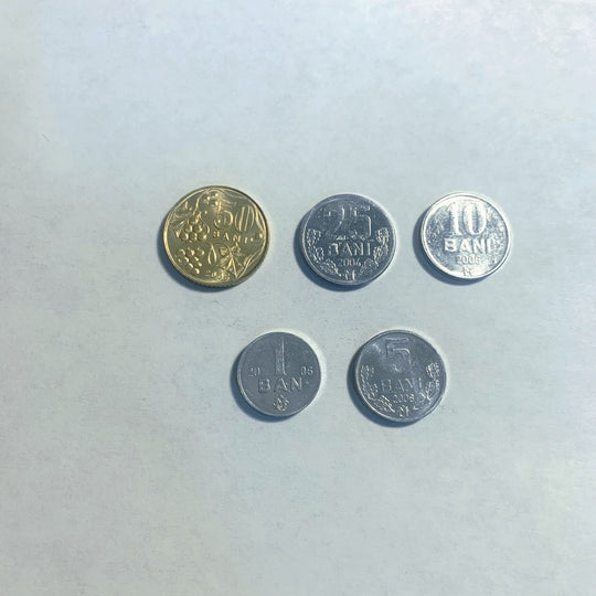 Moldova 5 Coins Set 1, 5, 10, 25, 50 Bani UNC World Coins
