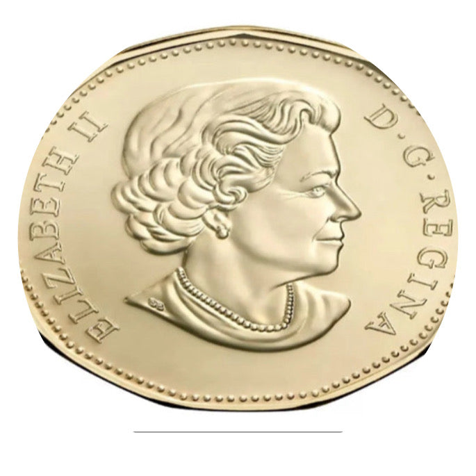 2019 Canada Equality Loonie Hand Colored Coin