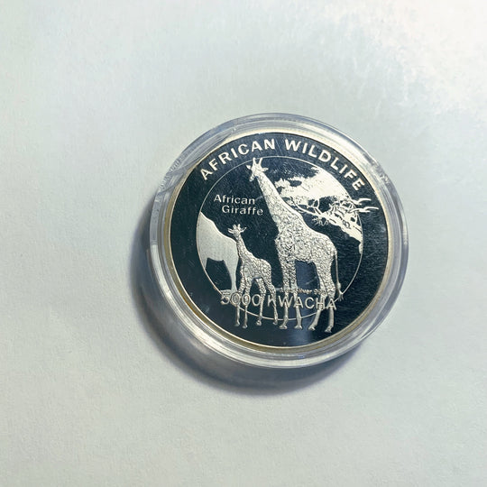 Lucky Coin -  Giraffe Family Coin Colored Engraved