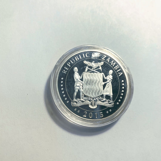 Lucky Coin -  Giraffe Family Coin Colored Engraved