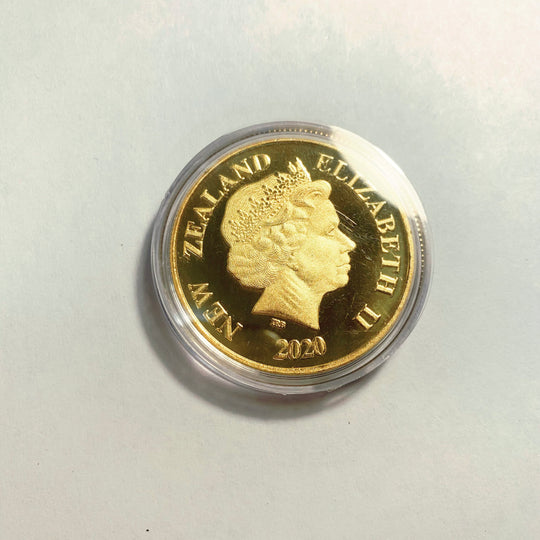 Lucky Coin - Snoopy Charlie Brown -Craft Gift Coin Colored Silver plated
