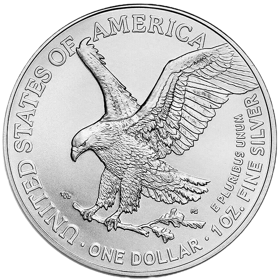 2024 USA BALD EAGLE AmericArt 1 Oz Silver Coin 1$
