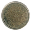 1895 Canadian  Large Cent   Queen Victoria Coin VG