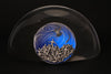 2025 Cameroon Magic Mushroom - 2oz .999 High Relief Silver Coin - 2000 Francs